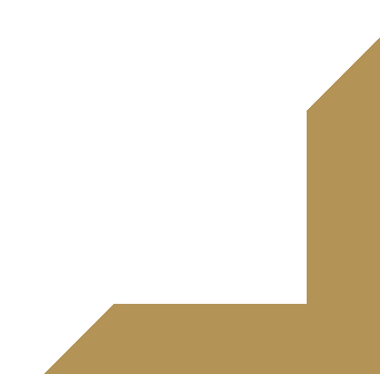 Bot